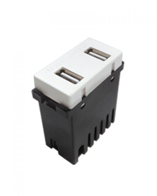 MODULO 2 PUERTOS USB 2A BLANCO | ROYER 100