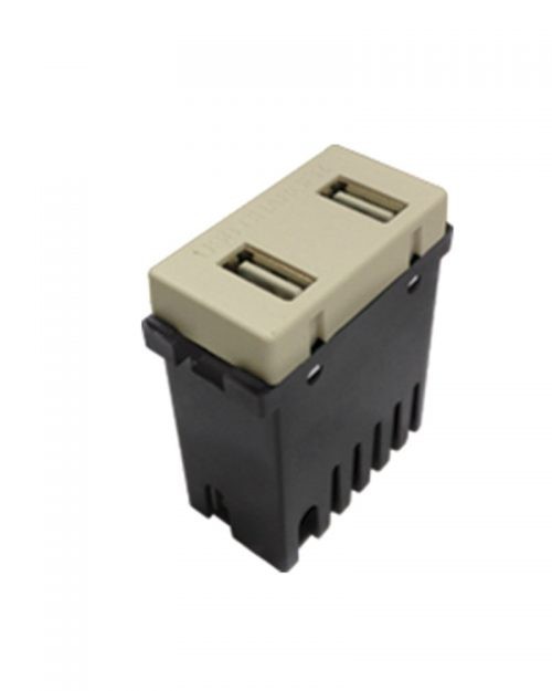 MODULO 2 PUERTOS USB 2A MARFIL | ROYER 100
